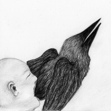 Matière foetale oiseau